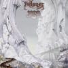 Yes. "Relayer"